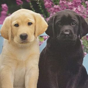 Meet your Posher, Gloria